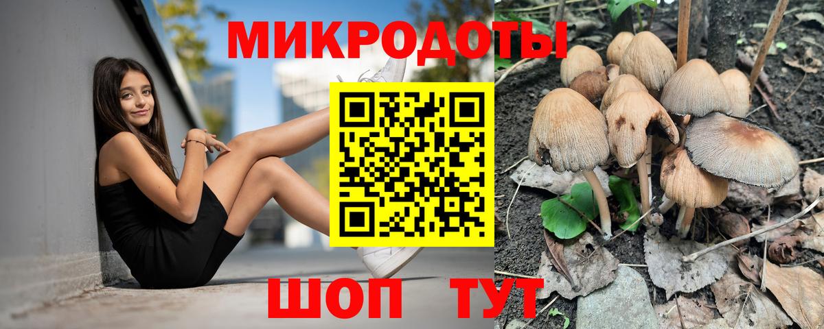 Псилоцибиновые грибы Psilocybe  Вход с VPN  Чехов 