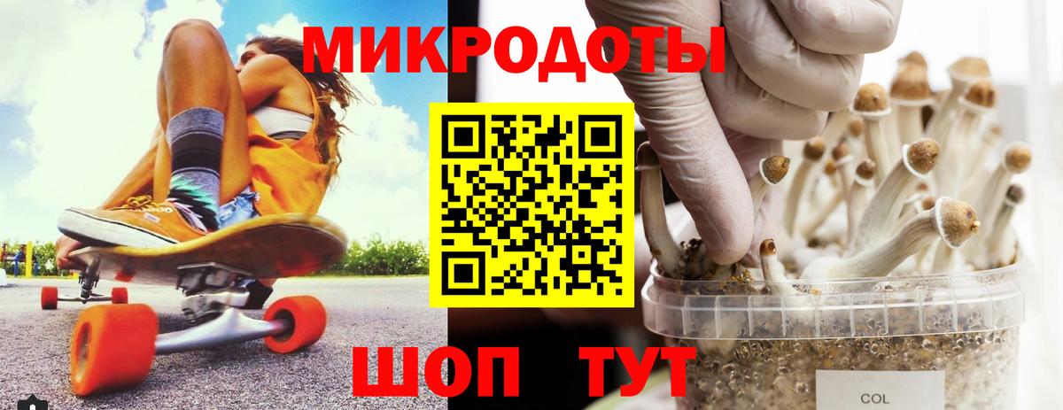 Псилоцибиновые грибы мицелий Чехов