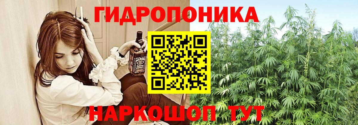 Марихуана планчик  Вход с VPN  Чехов  Бошки марихуана LSD WEED  МАРИХУАНА Amnesia 